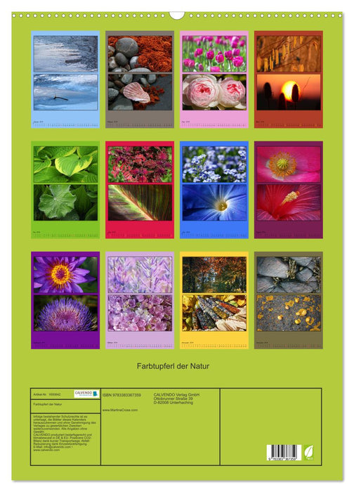 Splashes of color in nature (CALVENDO wall calendar 2024) 