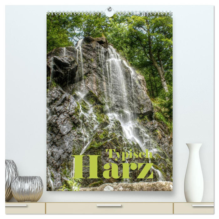 Typisch Harz (CALVENDO Premium Wandkalender 2024)