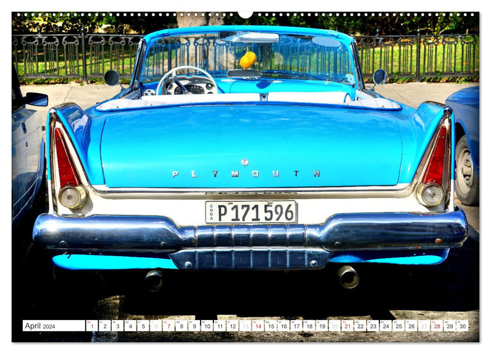 Car Legends - Un beau dos... (Calendrier mural CALVENDO Premium 2024) 