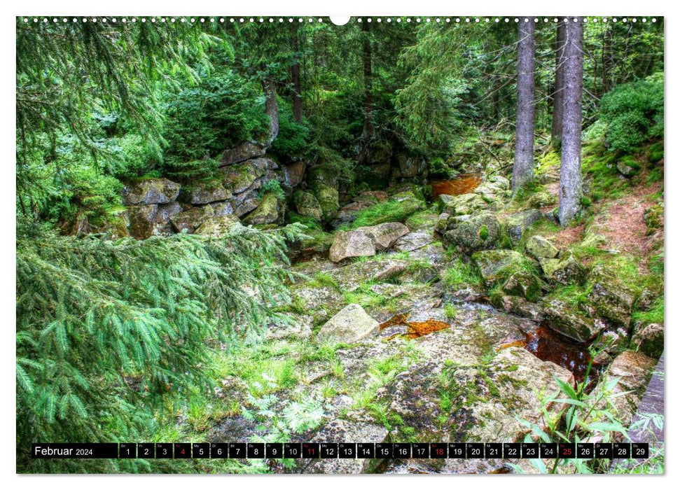 Verzauberter Harz (CALVENDO Premium Wandkalender 2024)