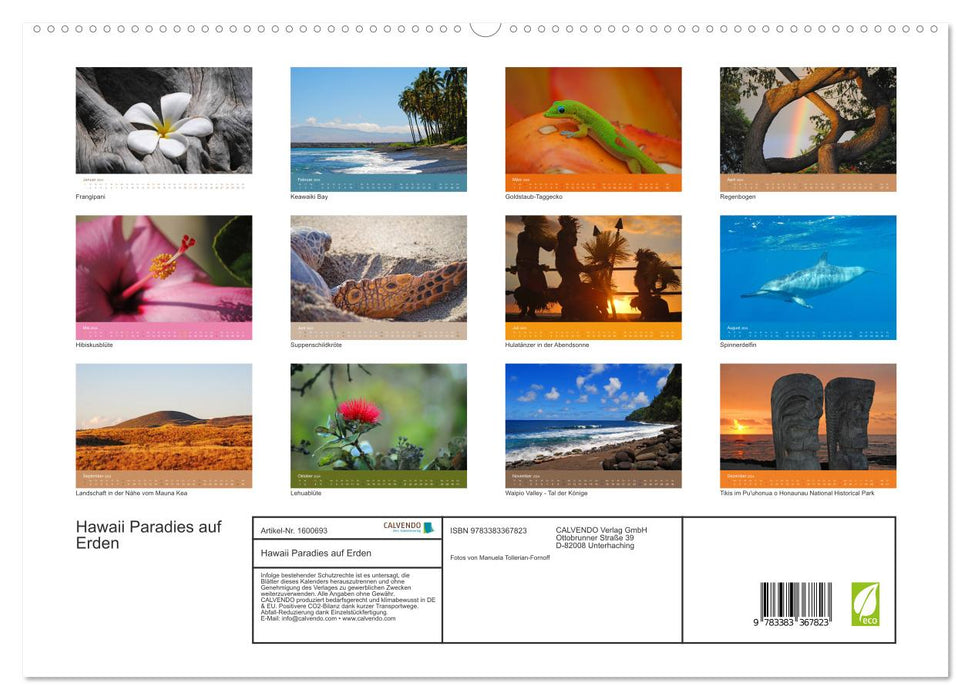 Hawaii Paradise on Earth (CALVENDO Premium Wall Calendar 2024) 