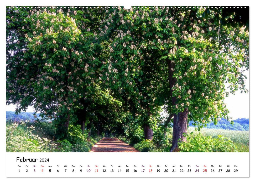 Floraison des arbres et des buissons (Calendrier mural CALVENDO Premium 2024) 