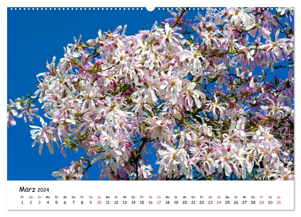 Flowering time of trees and bushes (CALVENDO Premium Wall Calendar 2024) 