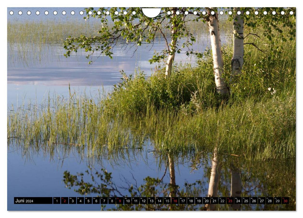 Beau finlandais - Laponie (calendrier mural CALVENDO 2024) 