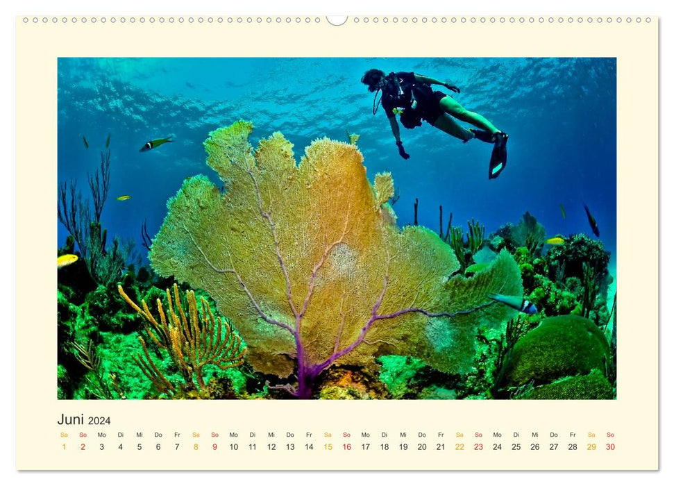 Maldives - my dream (CALVENDO wall calendar 2024) 