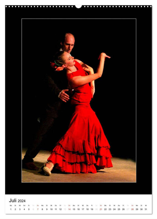 La Luz Flamenco (CALVENDO Premium Wandkalender 2024)