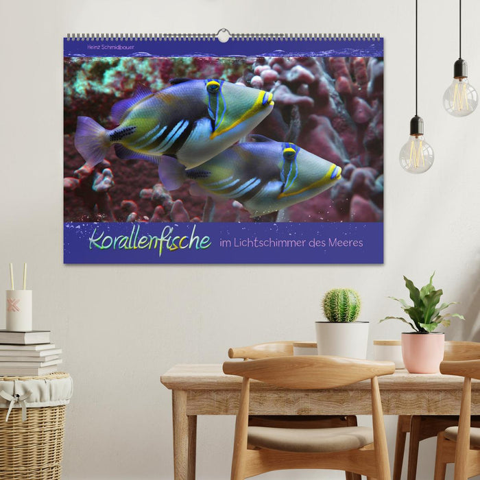 Coral fish in the shimmer of sea light (CALVENDO wall calendar 2024) 