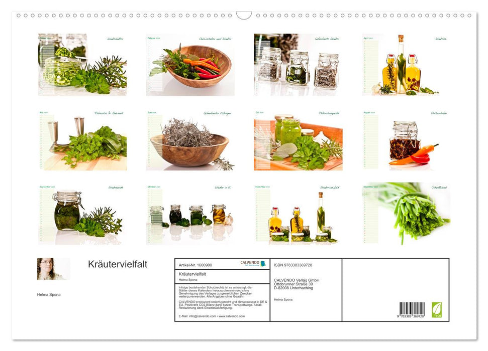 Variety of herbs (CALVENDO wall calendar 2024) 