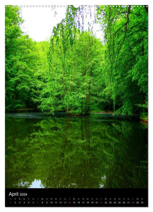 Typically Harz (CALVENDO wall calendar 2024) 