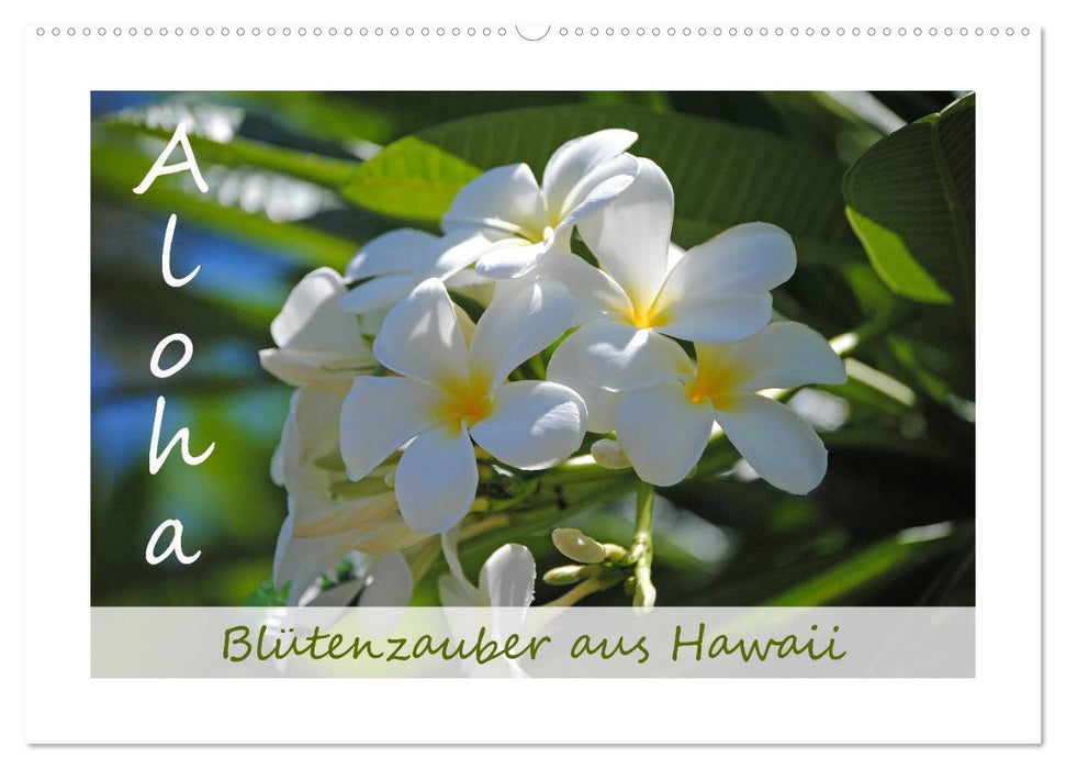 Magie des fleurs Aloha d'Hawaï (calendrier mural CALVENDO 2024) 