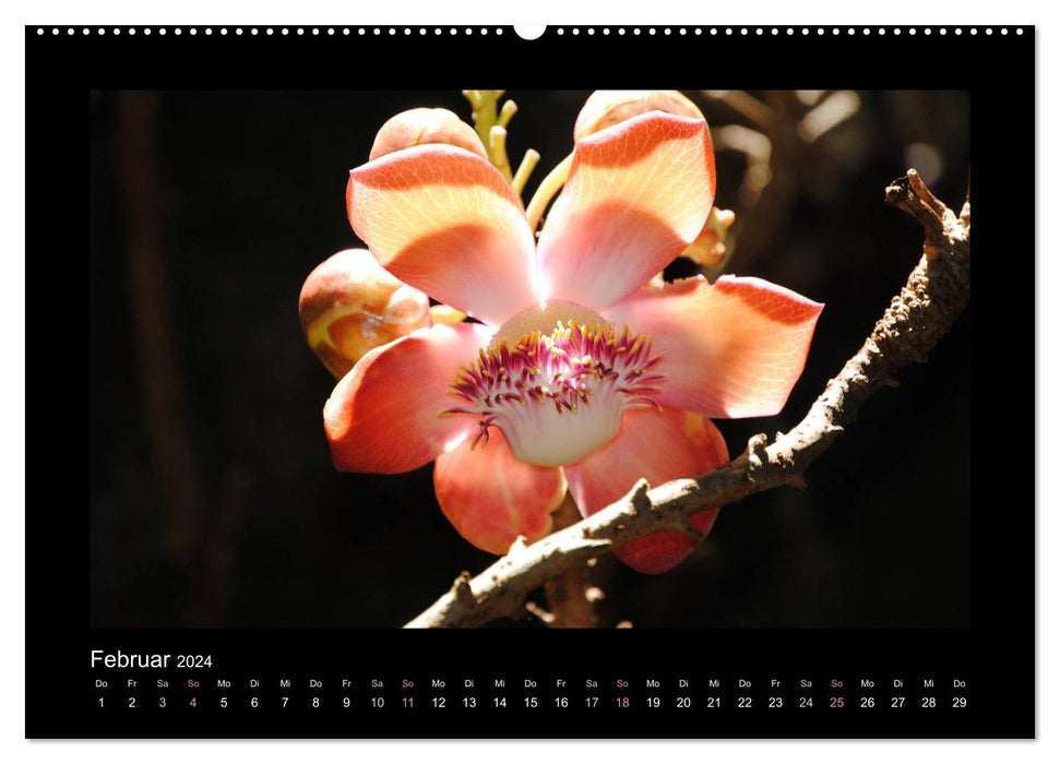 Magie des fleurs Aloha d'Hawaï (calendrier mural CALVENDO 2024) 