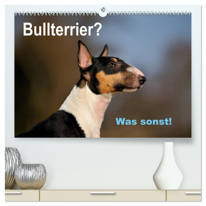 Bull Terrier? What else! (CALVENDO Premium Wall Calendar 2024) 