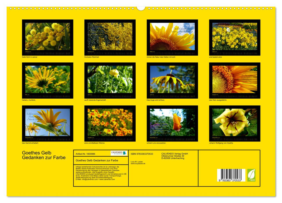 Goethes Gelb Gedanken zur Farbe (CALVENDO Premium Wandkalender 2024)