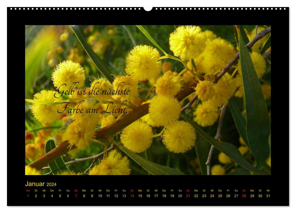 Goethe's Yellow Thoughts on Color (CALVENDO Premium Wall Calendar 2024) 