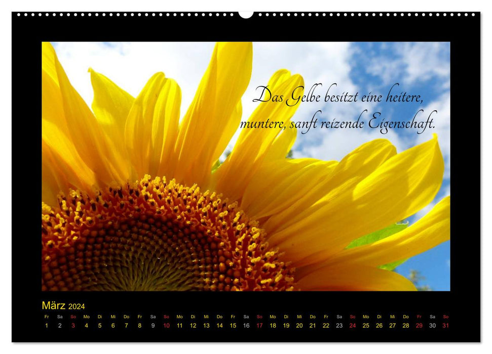 Les pensées jaunes de Goethe sur la couleur (Calvendo Premium Wall Calendar 2024) 