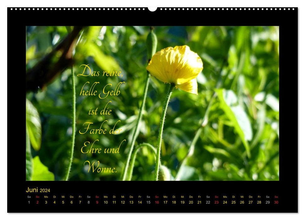 Goethes Gelb Gedanken zur Farbe (CALVENDO Premium Wandkalender 2024)