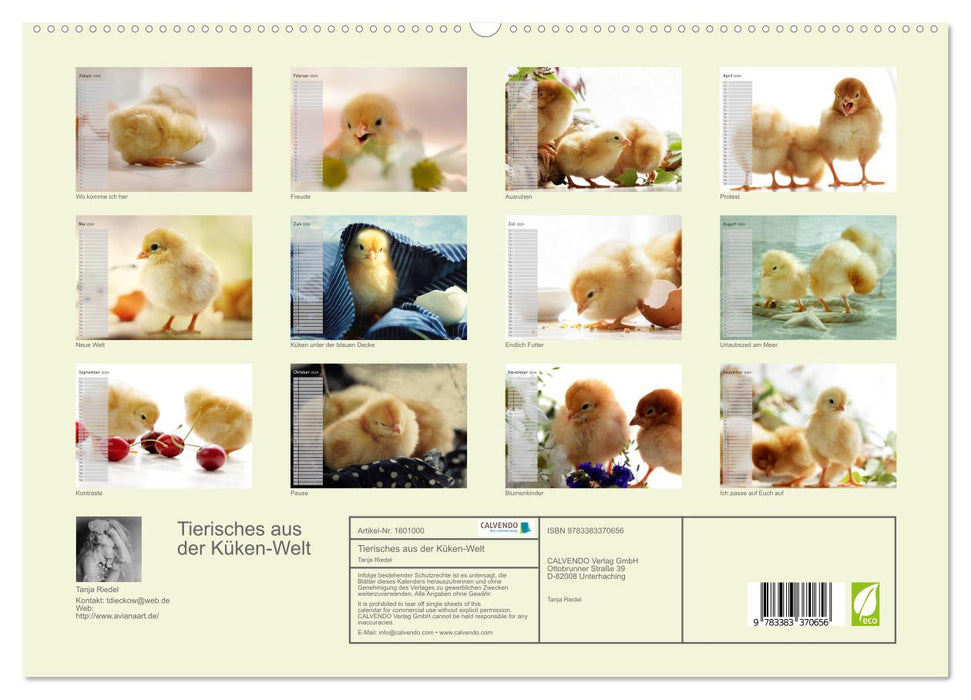 Animals from the chick world (CALVENDO Premium Wall Calendar 2024) 