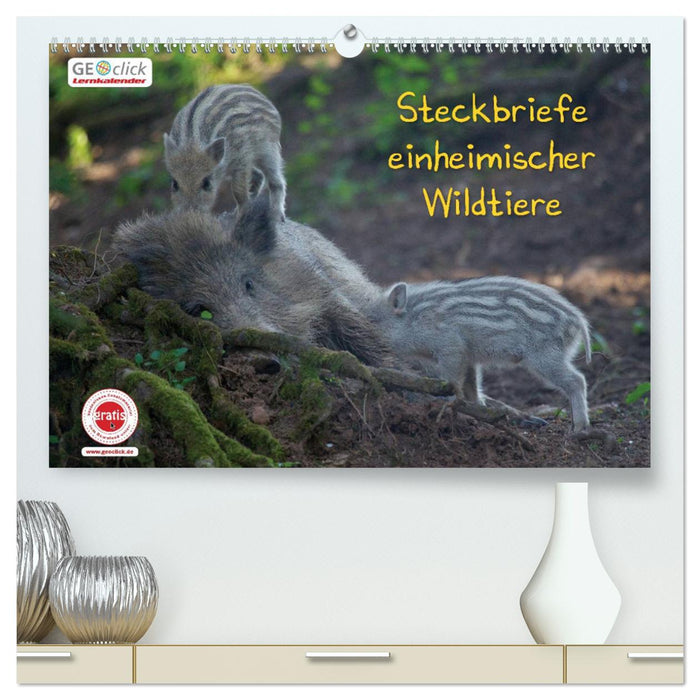 GEOclick Lernkalender: Steckbriefe einheimischer Wildtiere (CALVENDO Premium Wandkalender 2024)