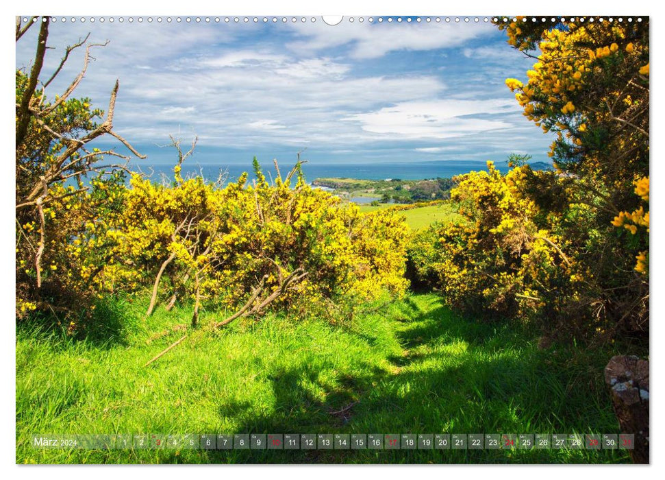 Fantastic paths - On the move on New Zealand's South Island (CALVENDO Premium Wall Calendar 2024) 