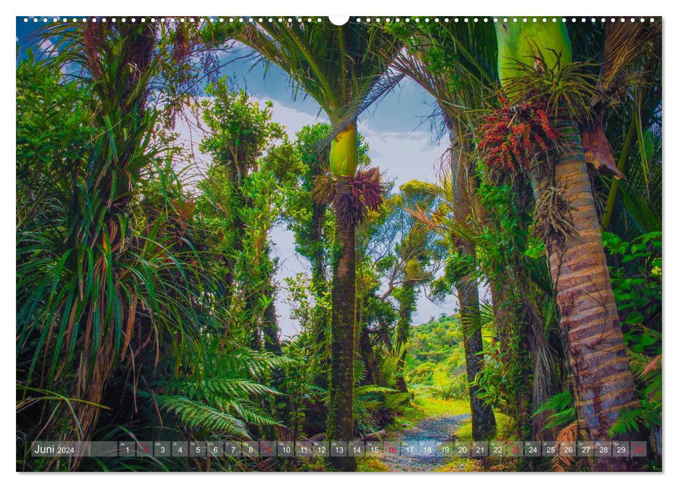 Fantastic paths - On the move on New Zealand's South Island (CALVENDO Premium Wall Calendar 2024) 