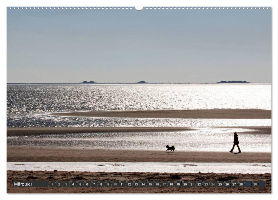 Föhr und Amrum - Spaziergänge am Meer (CALVENDO Premium Wandkalender 2024)