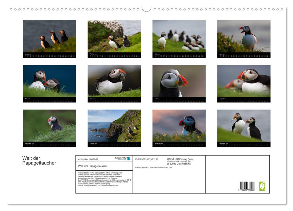 World of Puffins (CALVENDO Wall Calendar 2024) 