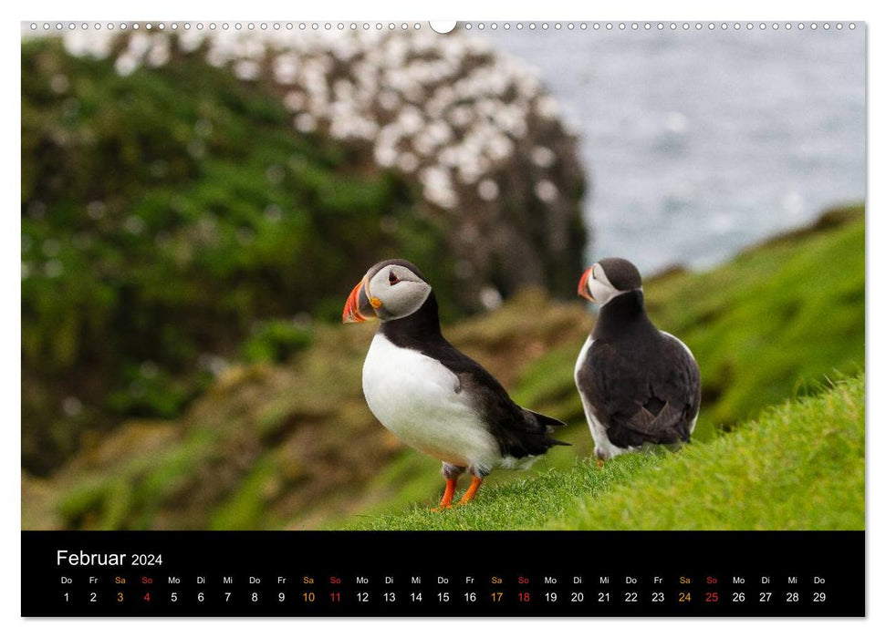 World of Puffins (CALVENDO Wall Calendar 2024) 