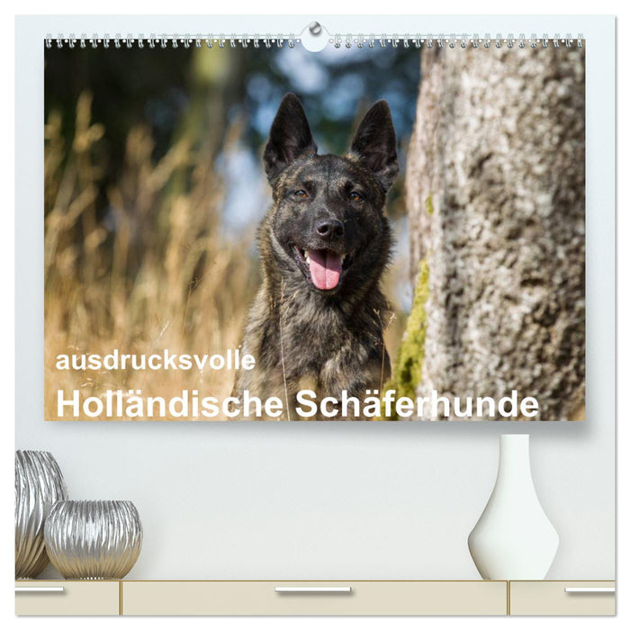 expressive Dutch Shepherd Dogs (CALVENDO Premium Wall Calendar 2024) 