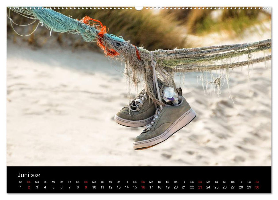 Amrum, Perle der Nordsee (CALVENDO Premium Wandkalender 2024)