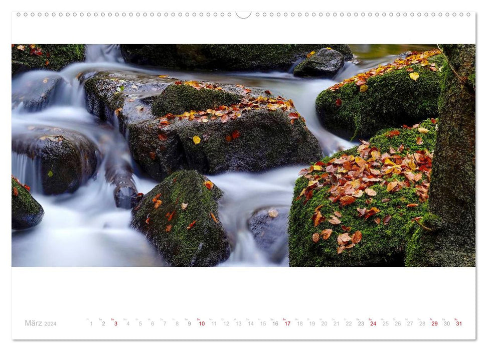 Malerische Bachlandschaften im Bayerischen Wald (CALVENDO Premium Wandkalender 2024)