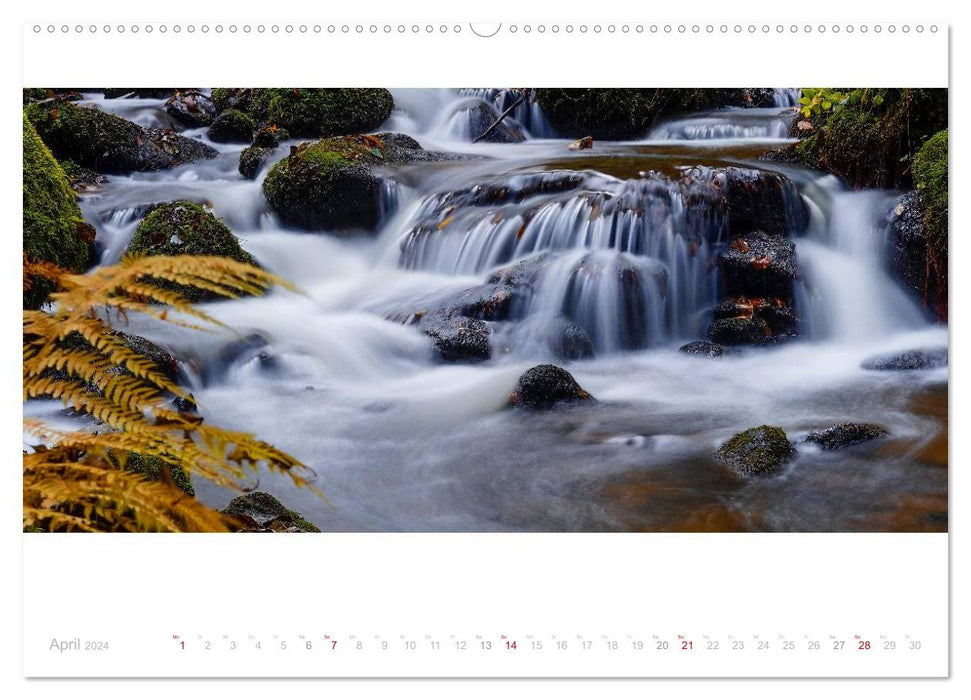 Picturesque stream landscapes in the Bavarian Forest (CALVENDO Premium Wall Calendar 2024) 