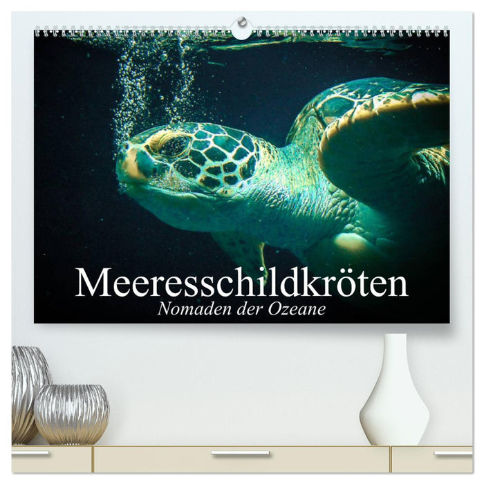 Sea turtles. Nomads of the Oceans (CALVENDO Premium Wall Calendar 2024) 