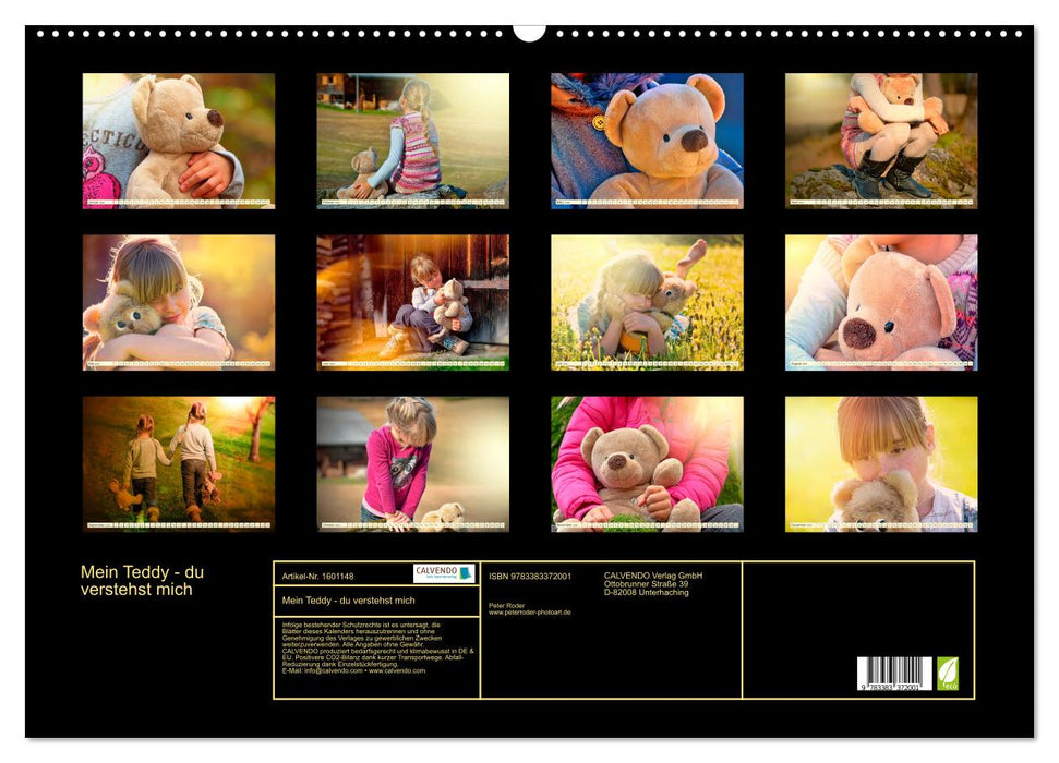 My Teddy - you understand me (CALVENDO wall calendar 2024) 