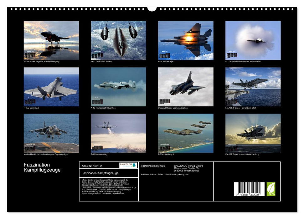 Faszination Kampfflugzeuge (CALVENDO Premium Wandkalender 2024)
