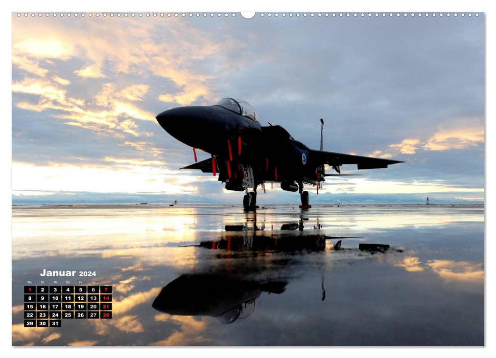 Fascination with fighter aircraft (CALVENDO Premium Wall Calendar 2024) 