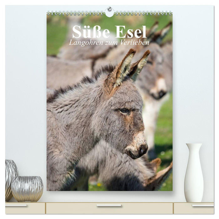 Sweet donkeys. Long ears to fall in love with (CALVENDO Premium Wall Calendar 2024) 