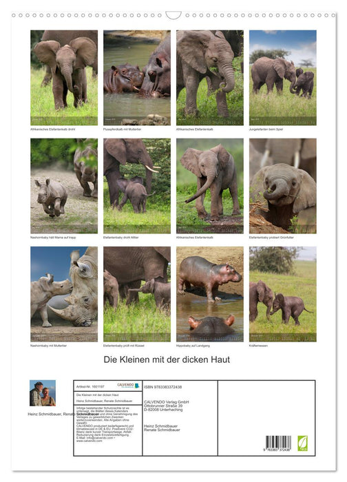 The little ones with thick skin (CALVENDO wall calendar 2024)