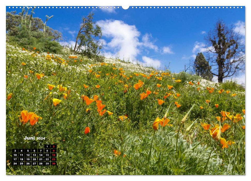 On Schuster's centime... Gran Canaria (CALVENDO Premium Wall Calendar 2024) 