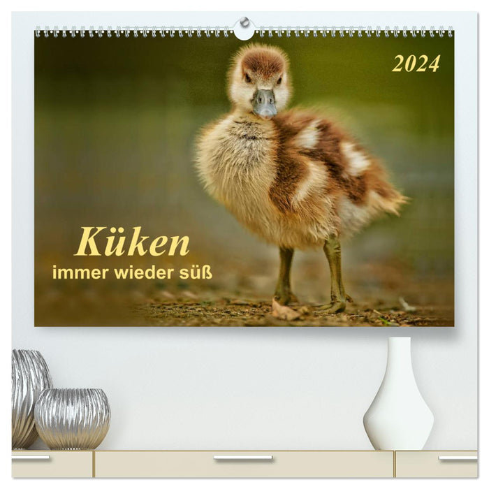 Chicks - always sweet (CALVENDO Premium Wall Calendar 2024) 