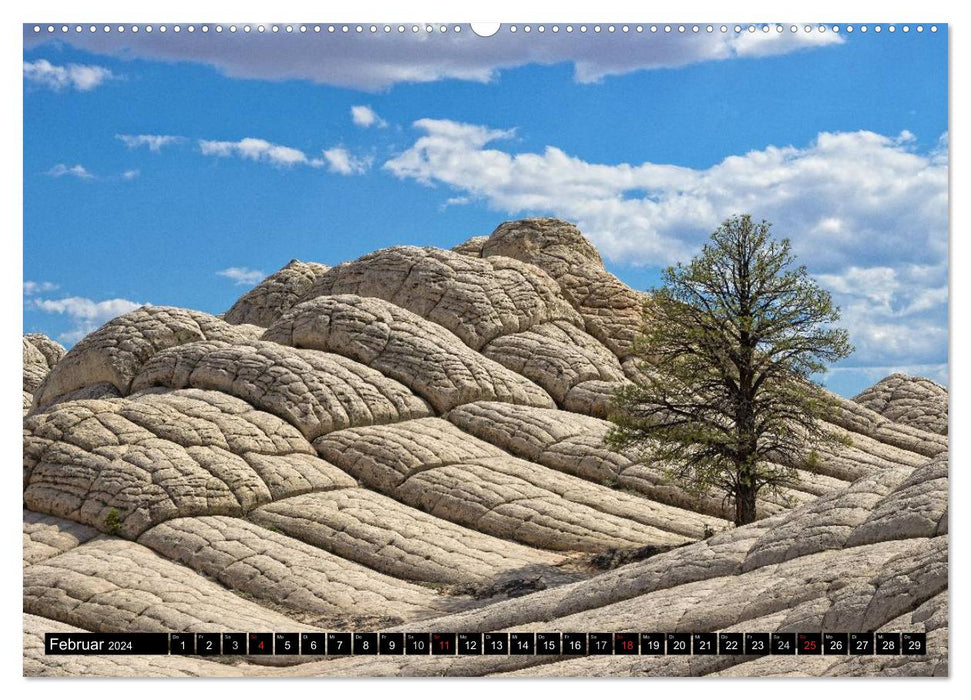 WHITE POCKET - Merveilles naturelles en Arizona (Calendrier mural CALVENDO 2024) 