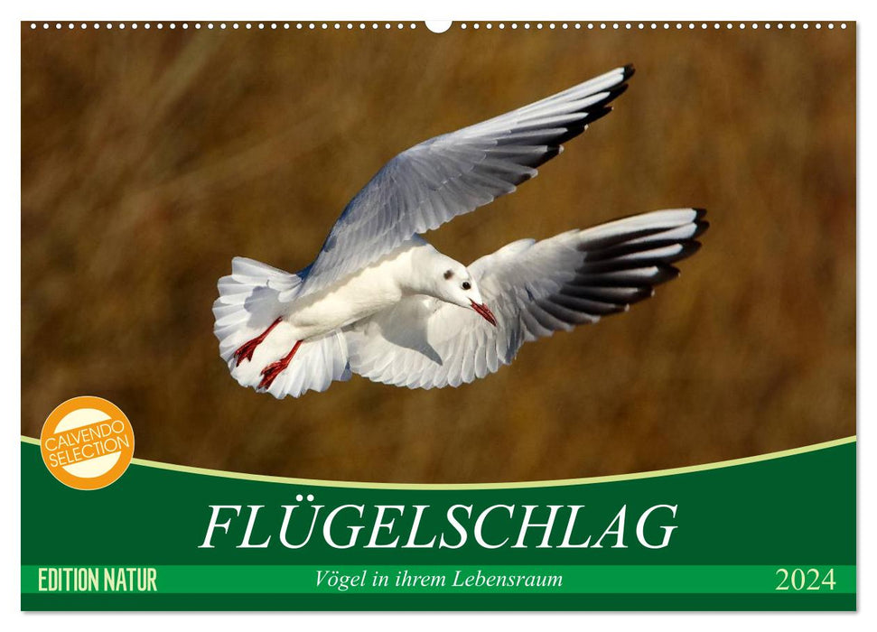 Flügelschlag - Vögel in ihrem natürlichen Lebensraum (CALVENDO Wandkalender 2024)