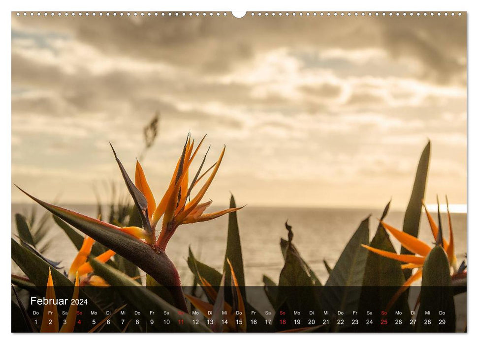 Madeira - The Flower Island (CALVENDO Wall Calendar 2024) 