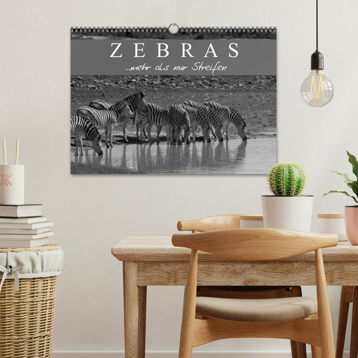 Zebras - More than just stripes (CALVENDO wall calendar 2024) 