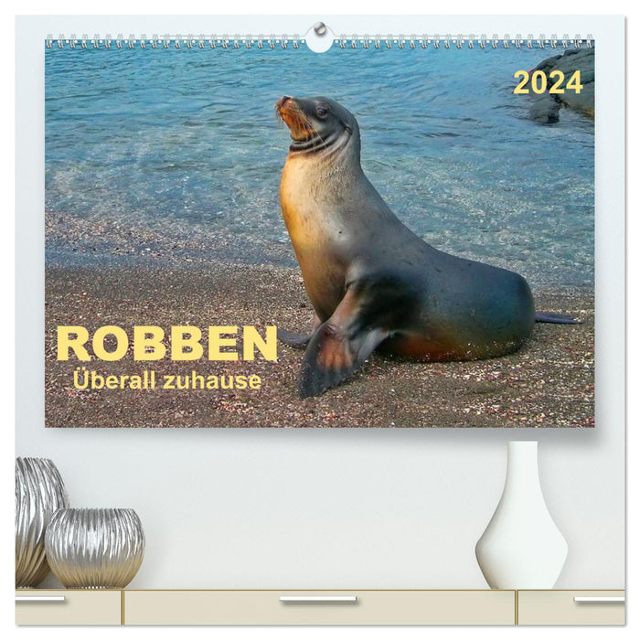 Seals - at home everywhere (CALVENDO Premium Wall Calendar 2024) 