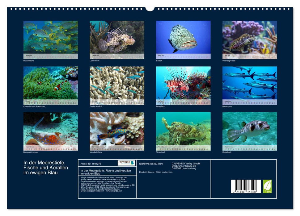 In the depths of the sea. Fish and corals in eternal blue (CALVENDO Premium Wall Calendar 2024) 