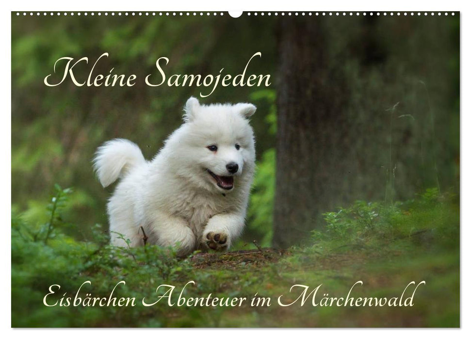 Little Samoyeds - Polar Bear Adventures in the Fairytale Forest (CALVENDO Wall Calendar 2024) 