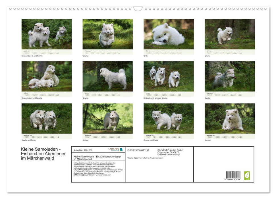 Little Samoyeds - Polar Bear Adventures in the Fairytale Forest (CALVENDO Wall Calendar 2024) 