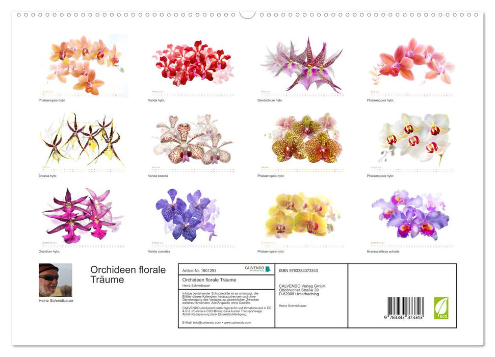 Orchids floral dreams (CALVENDO Premium Wall Calendar 2024) 