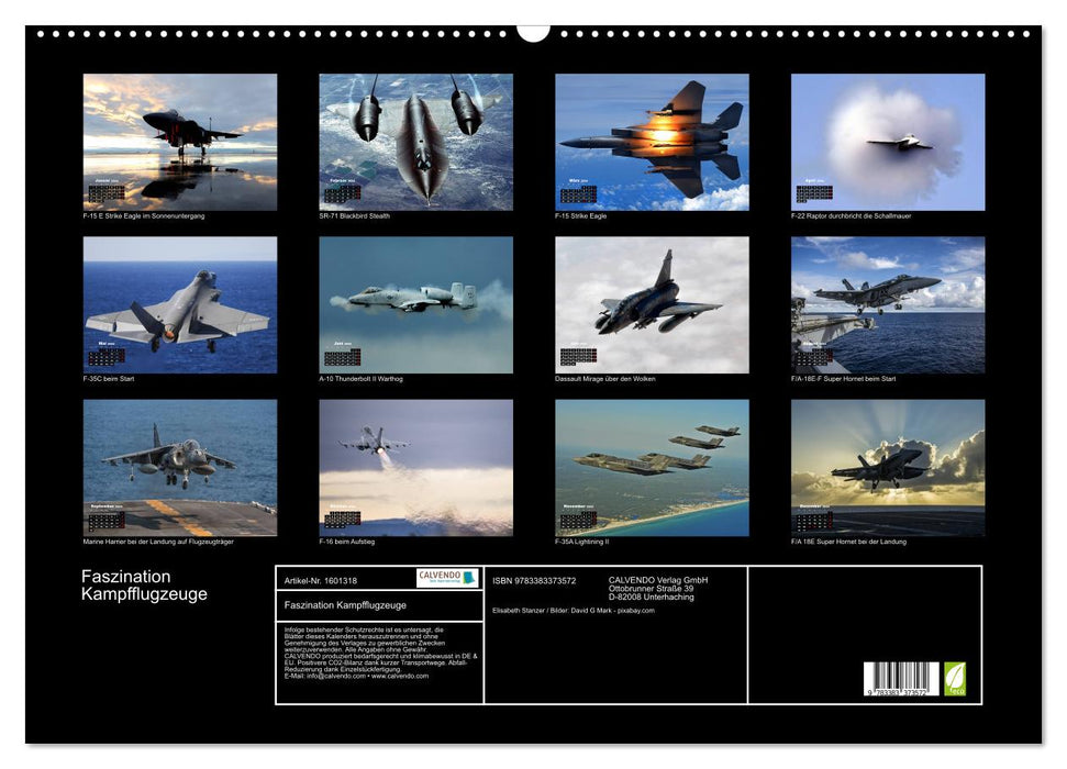 Fascination with fighter aircraft (CALVENDO wall calendar 2024) 