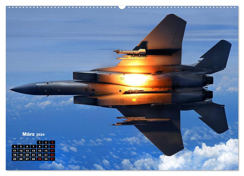 Faszination Kampfflugzeuge (CALVENDO Wandkalender 2024)